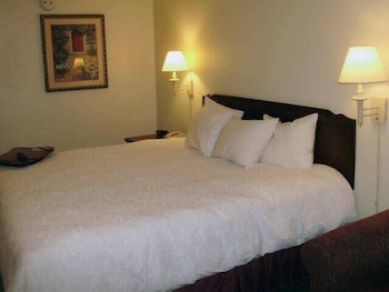 Room, 1 King Bed, Accessible, Non Smoking