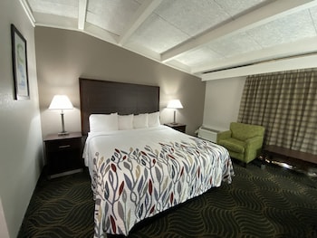 Superior Room, 1 King Bed, Non Smoking