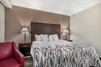 Superior Room, 1 King Bed, Accessible, Non Smoking (Roll-in Shower)