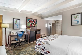 Superior Room, 1 King Bed, Non Smoking