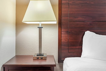 Superior Room, 1 King Bed, Accessible, Non Smoking (Roll-in Shower)