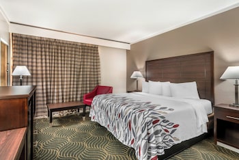 Superior Room, 1 King Bed, Accessible, Non Smoking (Roll-in Shower)