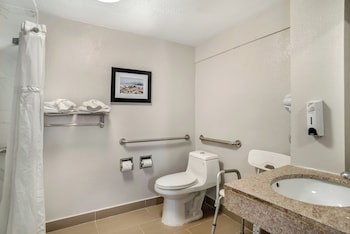 Superior Room, 1 King Bed, Accessible, Non Smoking (Roll-in Shower)