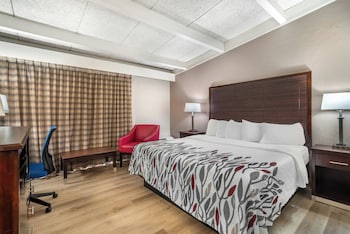 Deluxe Room, 1 King Bed, Non Smoking