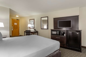 Standard Room, 1 King Bed, Non Smoking, Refrigerator & Microwave