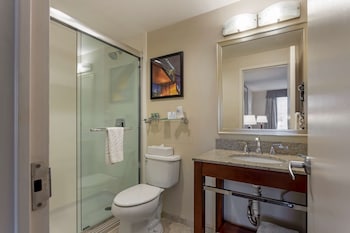 Suite, 1 King Bed, Non Smoking, Refrigerator & Microwave (with Sofabed)