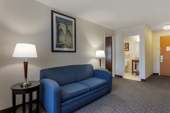 Suite, 1 King Bed, Non Smoking, Refrigerator & Microwave (with Sofabed)