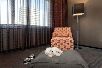 Club Floor, Premium Room, 1 Queen Bed