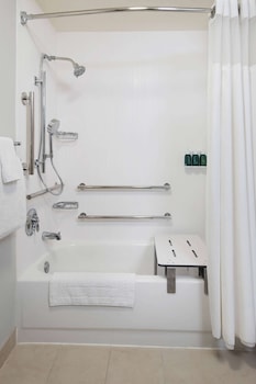 Room, 1 King Bed with Sofa bed, Accessible (Mobility Tub)