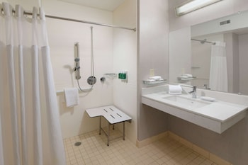 Room, 1 King Bed with Sofa bed, Accessible (Mobility Roll in Shower)