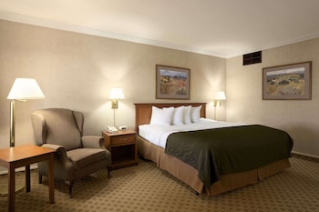 Room, 1 King Bed, Non Smoking (Pet-Friendly)