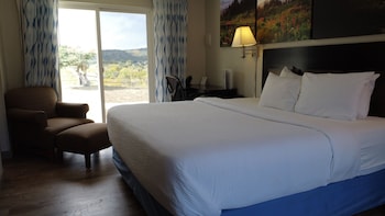 Room, 1 King Bed, Non Smoking (Pet-Friendly)