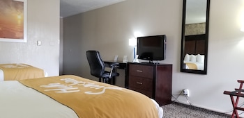 Room, 2 Queen Beds, Non Smoking (Pet-Friendly)