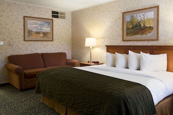 Studio Suite, 1 King Bed, Non Smoking