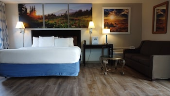 Room, 1 King Bed, Non Smoking (Pet-Friendly)