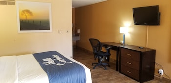 Room, 1 King Bed, Non Smoking (Pet-Friendly)