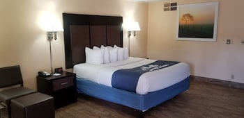 Room, 1 King Bed, Non Smoking (Pet-Friendly)