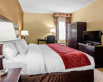 Suite, 1 King Bed with Sofa bed, Accessible, Non Smoking (Roll-In Shower)