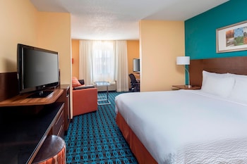 Executive Suite, 1 King Bed with Sofa bed