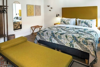 Room, 1 King Bed (SPECIAL ONE)