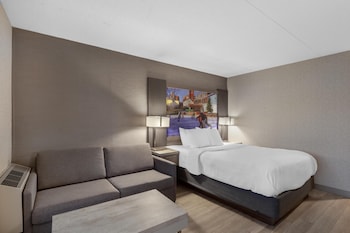 Standard Room, 1 Queen Bed, Accessible, Non Smoking (with Sofabed)