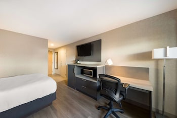Standard Room, 1 Queen Bed, Accessible, Non Smoking (with Sofabed)