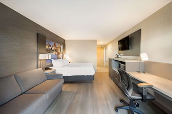Standard Room, 1 Queen Bed, Accessible, Non Smoking (with Sofabed)