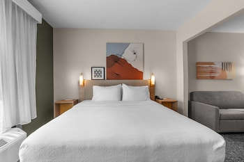 Room, 1 King Bed with Sofa bed