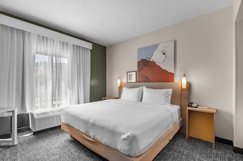 Room, 1 King Bed
