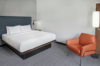 Room, 1 King Bed with Sofa bed, Hearing Accessible (Accessible Bathtub)