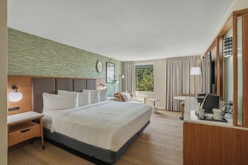 Classic Room, 1 King Bed