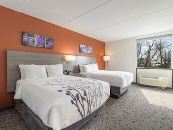 Standard Room, 2 Double Beds, Non Smoking