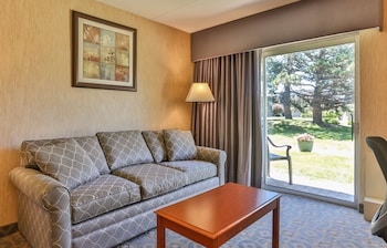 Standard Room, 1 King Bed, Non Smoking (with Sofabed)