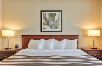 Suite, 1 King Bed, Non Smoking, Refrigerator & Microwave (with Sofabed)