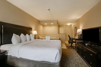 Standard Room, 1 King Bed, Non Smoking, Jetted Tub