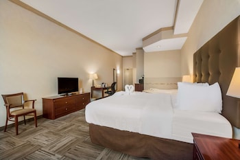 Standard Room, 1 Queen Bed, Non Smoking, Fireplace (with Sofabed)