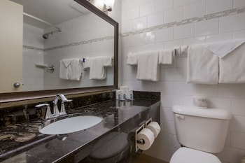 Suite, 1 King Bed, Non Smoking, Refrigerator & Microwave (with Sofabed)