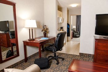 Suite, 1 King Bed, Non Smoking, Refrigerator & Microwave (with Sofabed)