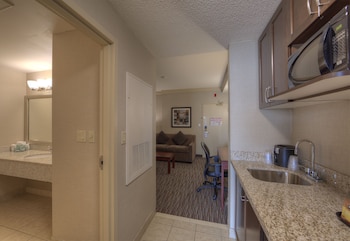 Suite, 1 King Bed, Non Smoking, Refrigerator & Microwave (with Sofabed)
