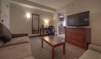 Suite, 1 King Bed, Non Smoking, Refrigerator & Microwave (with Sofabed)