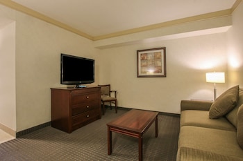 Suite, 1 King Bed, Non Smoking, Refrigerator & Microwave (with Sofabed)