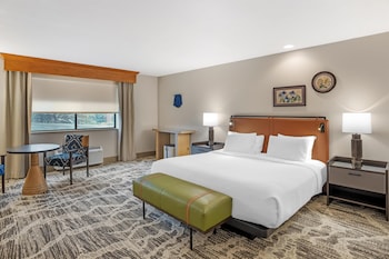 Standard Room, 1 King Bed, Accessible, Non Smoking