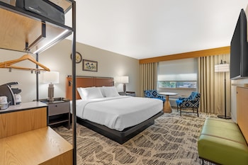 Standard Room, 1 King Bed, Non Smoking, Refrigerator & Microwave (View)