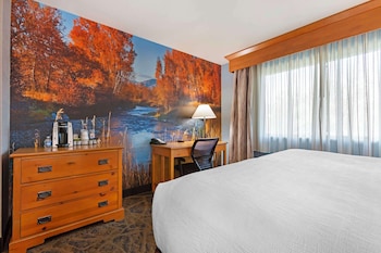 Standard Room, 1 King Bed, Non Smoking, Refrigerator & Microwave (Oversized Room)