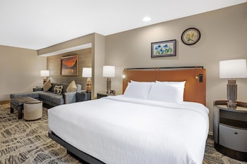 Standard Room, 1 King Bed, Non Smoking, Refrigerator & Microwave (Oversized Room)