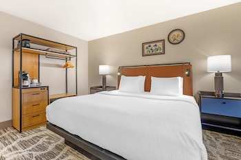 Standard Room, 1 King Bed, Accessible, Non Smoking