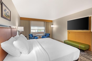 Standard Room, 1 King Bed, Non Smoking, Refrigerator & Microwave (View)