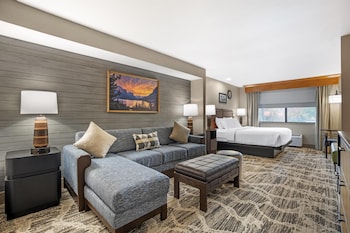 Standard Room, 1 King Bed, Non Smoking, Refrigerator & Microwave (Oversized Room)