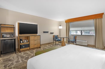 Standard Room, 1 King Bed, Accessible, Non Smoking