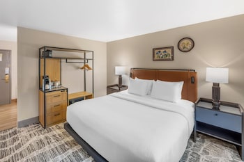 Suite, 1 King Bed, Non Smoking (Dining Table;Living Room;w/ Sofabed)